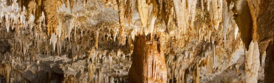 Cuevas de Pozalagua 